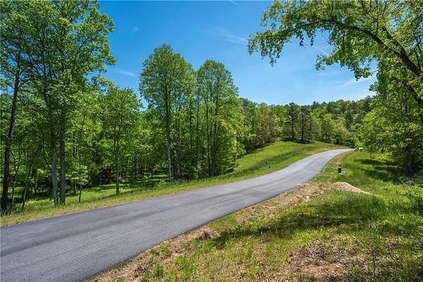 1 Acre of Residential Land for Sale in Mineral Bluff, Georgia