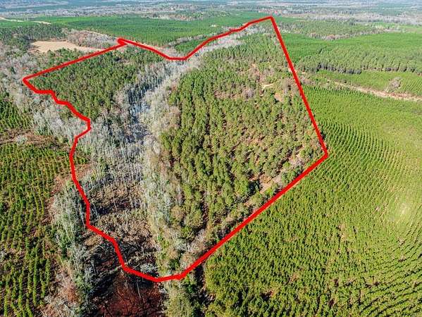 76.8 Acres of Recreational & Residential Land for Sale in Sandersville, Georgia