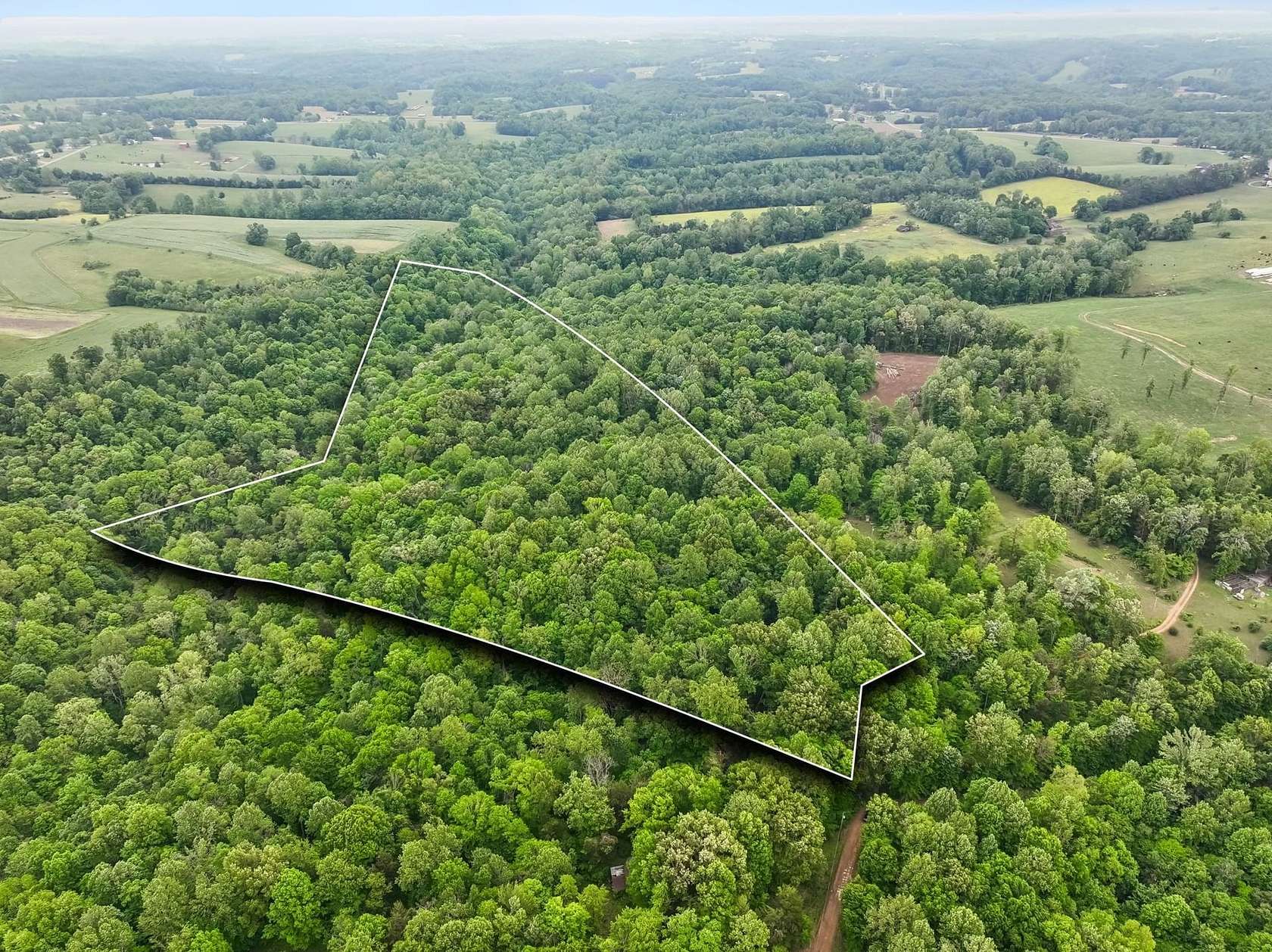 22 Acres of Land for Sale in Lafayette, Tennessee