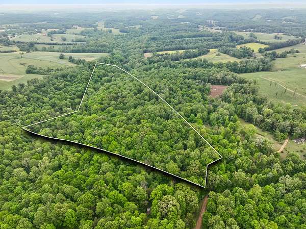 22 Acres of Land for Sale in Lafayette, Tennessee