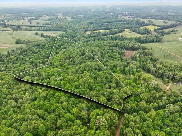 22 Acres of Land for Sale in Lafayette, Tennessee