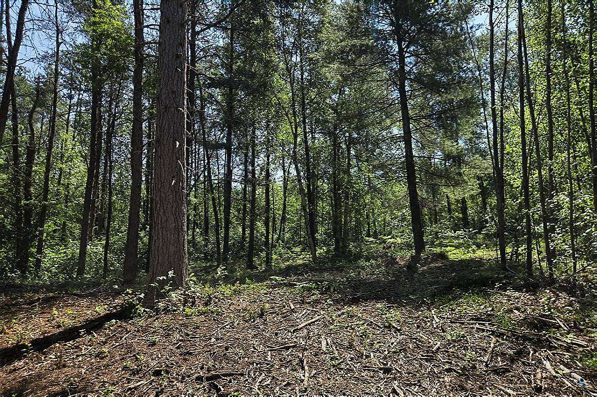19.7 Acres of Recreational Land for Sale in Tomahawk, Wisconsin