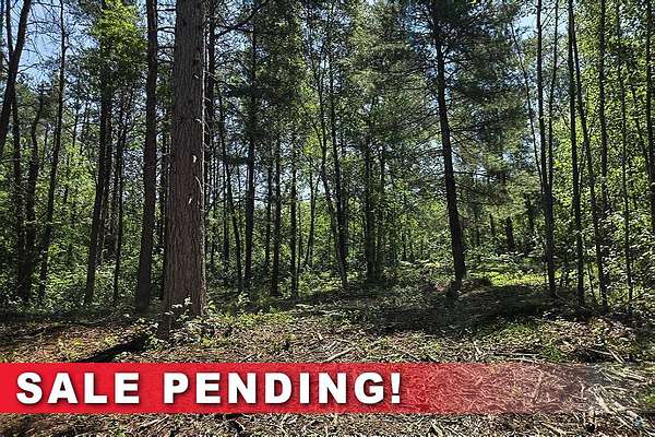 19.7 Acres of Recreational Land for Sale in Tomahawk, Wisconsin