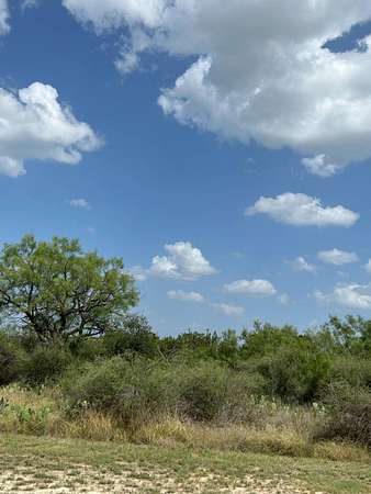 3.76 Acres of Residential Land for Sale in Paint Rock, Texas