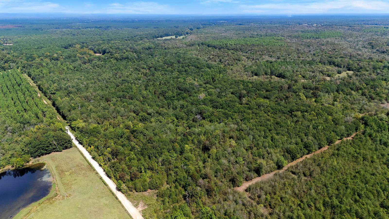 160 Acres of Recreational & Residential Land for Sale in Haworth, Oklahoma