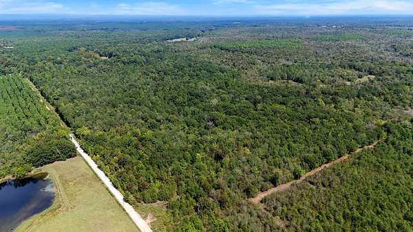 160 Acres of Recreational & Residential Land for Sale in Haworth, Oklahoma