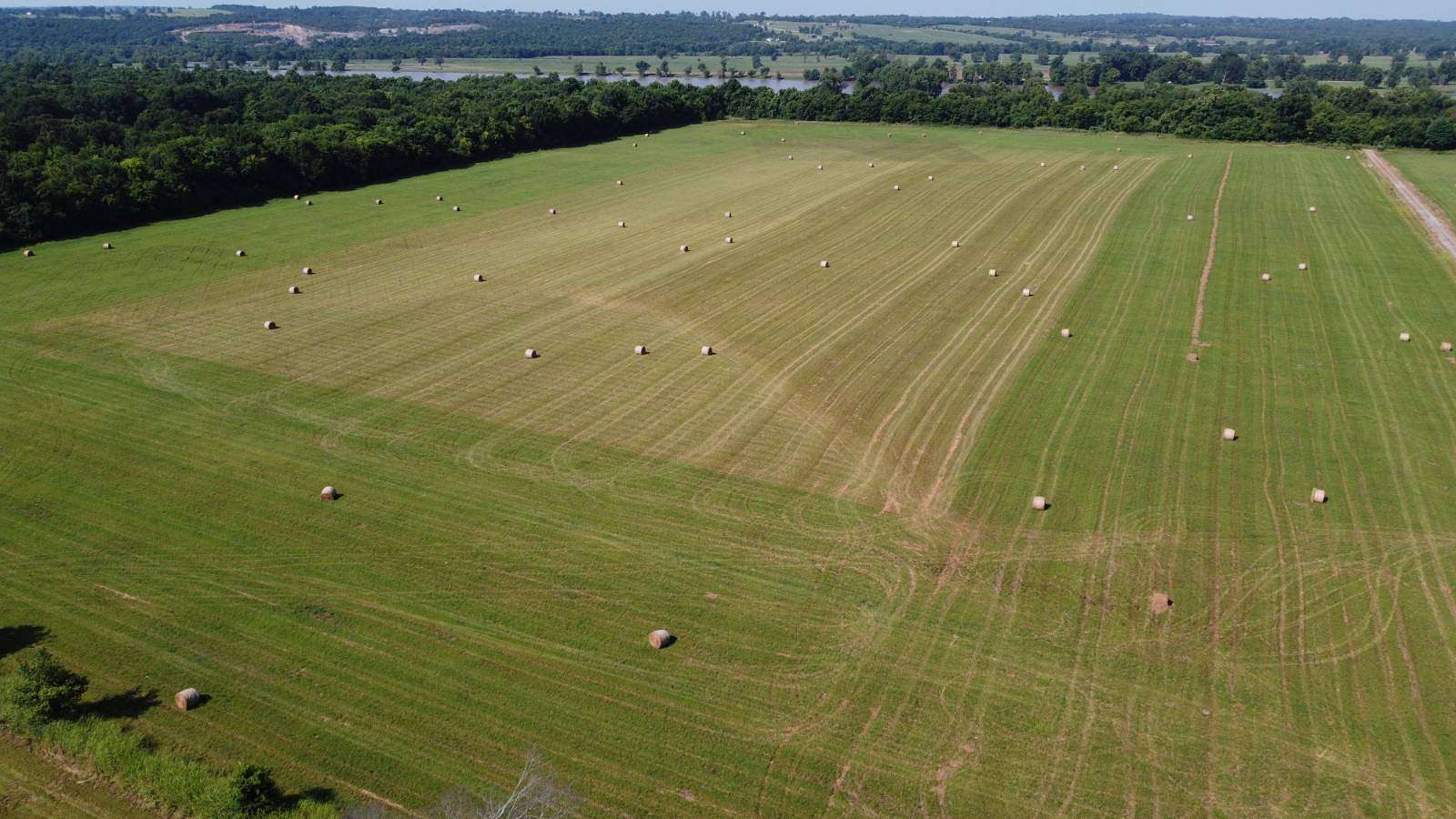 64.1 Acres of Recreational & Residential Land for Auction in Ozark, Arkansas
