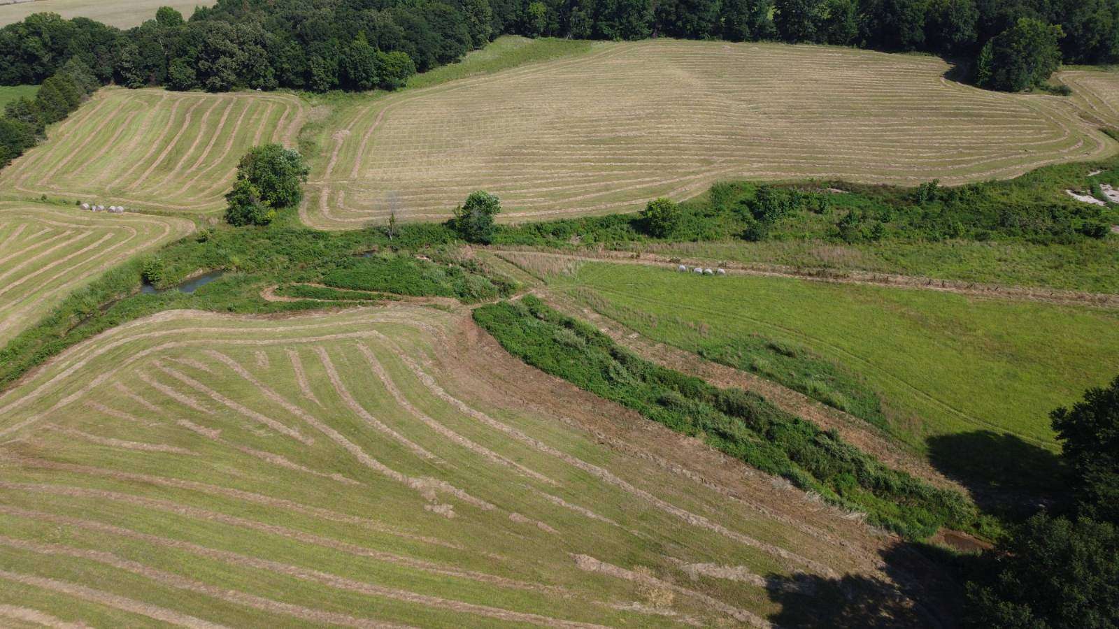 51.4 Acres of Recreational & Residential Land for Auction in Ozark, Arkansas