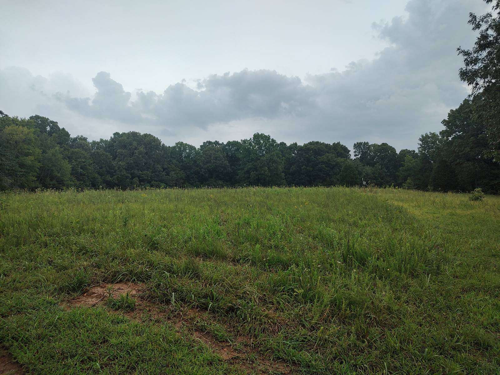 32 Acres of Recreational & Residential Land for Sale in Buchanan, Tennessee