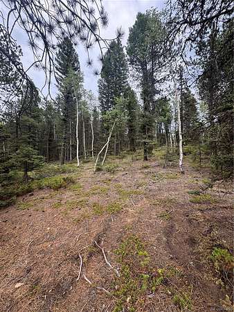 5 Acres of Residential Land for Sale in Divide, Colorado