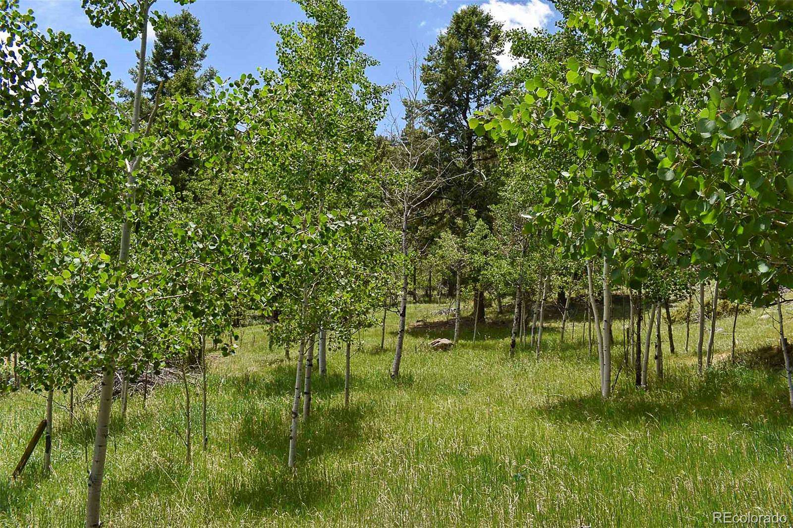 16.2 Acres of Recreational & Residential Land for Sale in Guffey, Colorado