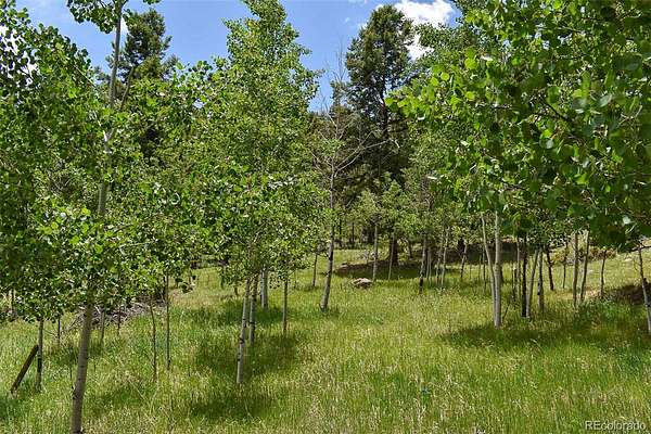16.2 Acres of Recreational & Residential Land for Sale in Guffey, Colorado