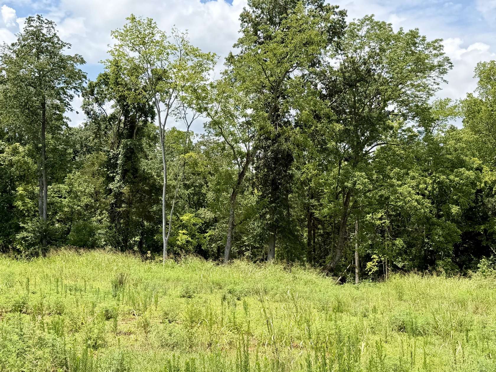2 Acres of Residential Land for Sale in Clarksville, Tennessee