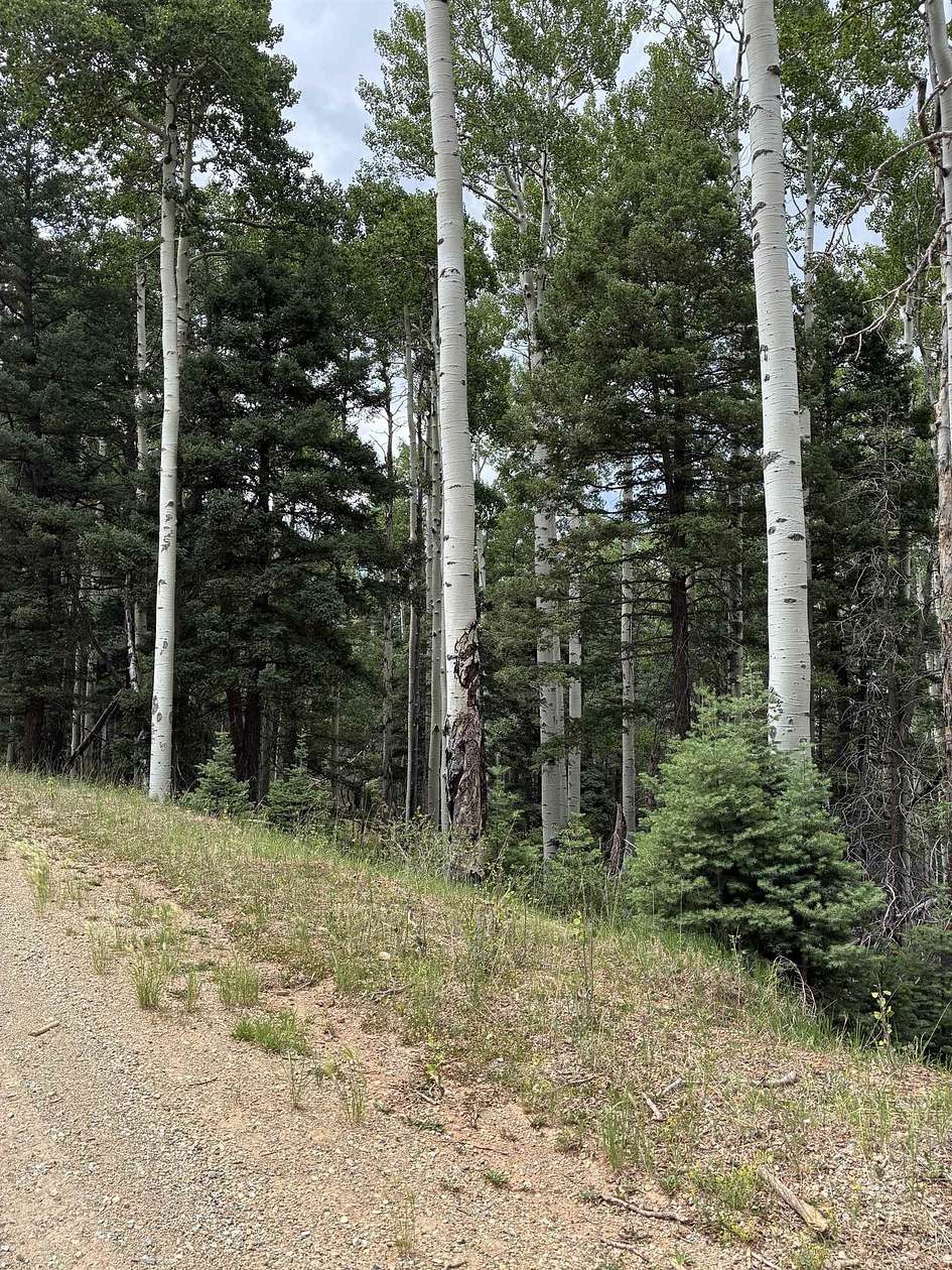 0.76 Acres of Residential Land for Sale in Angel Fire, New Mexico