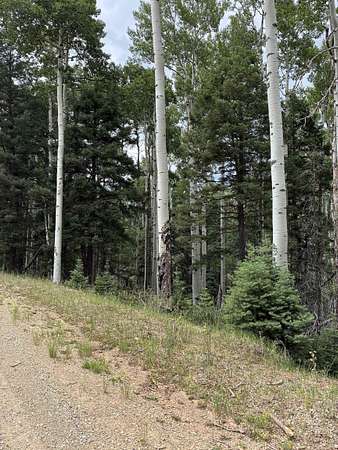 0.76 Acres of Residential Land for Sale in Angel Fire, New Mexico