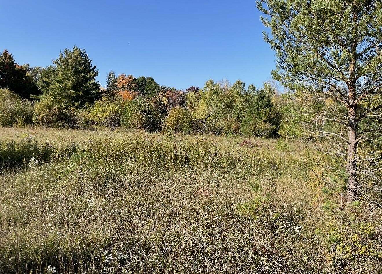 25.6 Acres of Land for Sale in Malone, New York