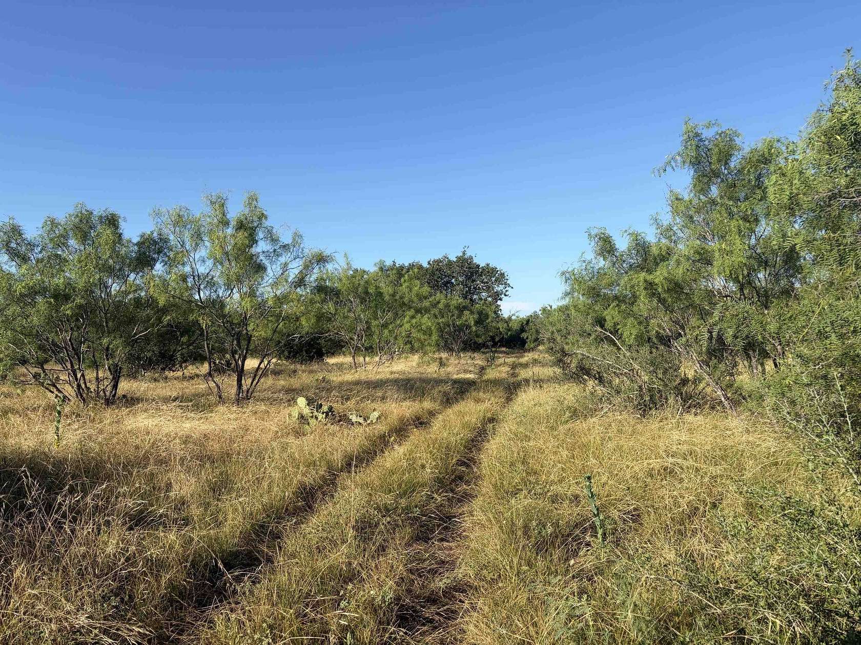 169 Acres of Land for Sale in Spicewood, Texas