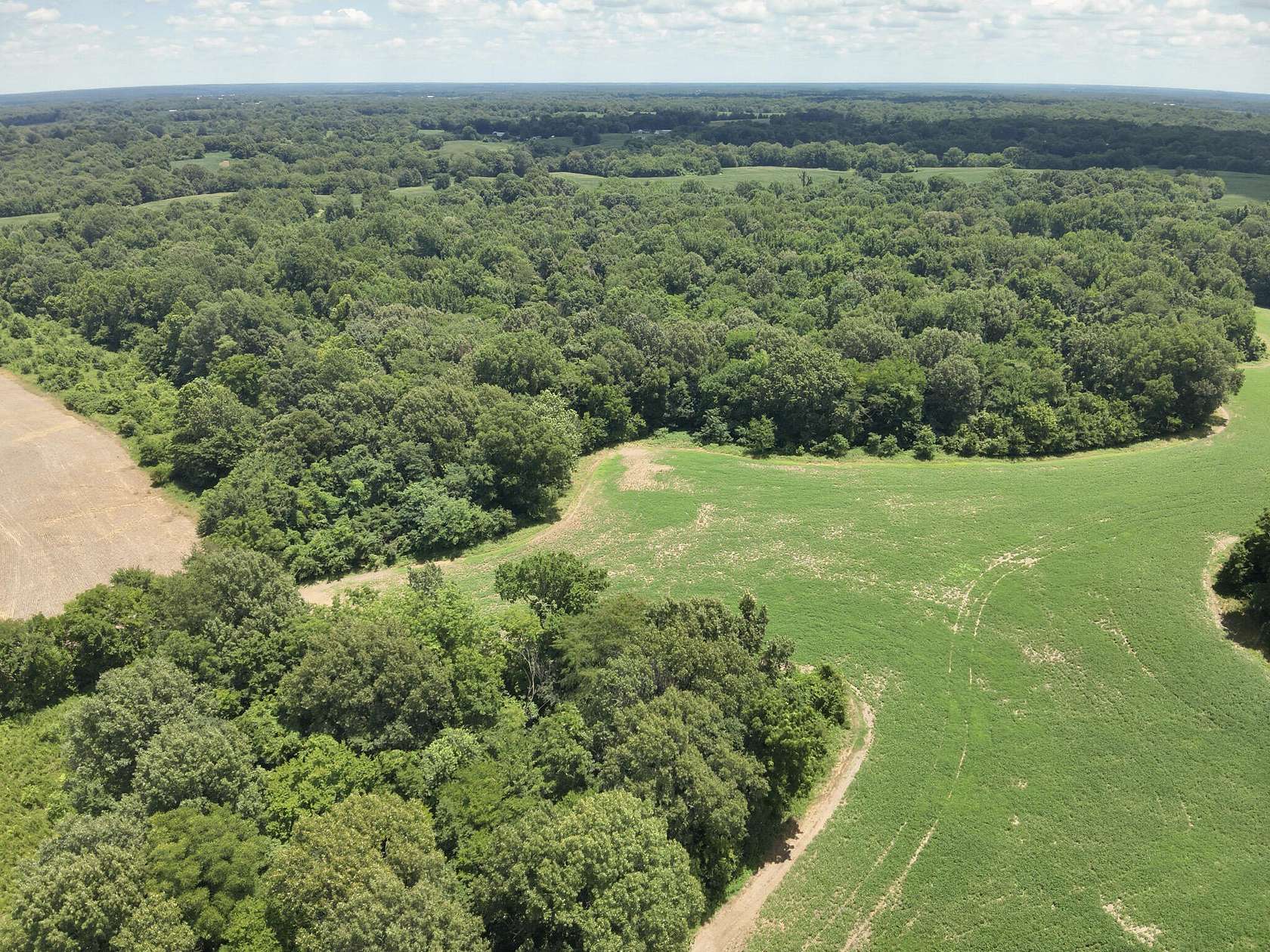 86 Acres of Land for Sale in Bardwell, Kentucky