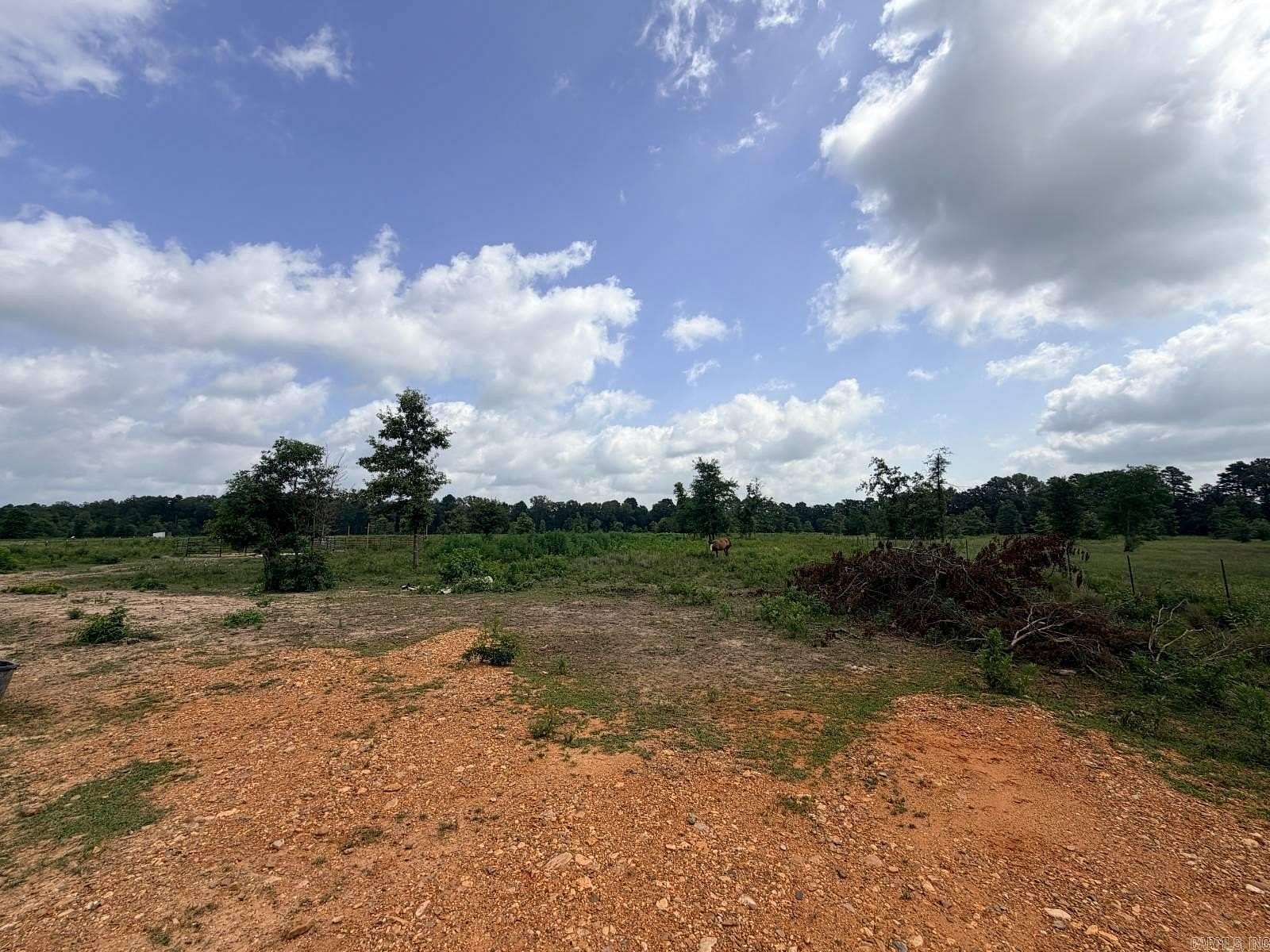 13.6 Acres of Agricultural Land for Sale in Ashdown, Arkansas
