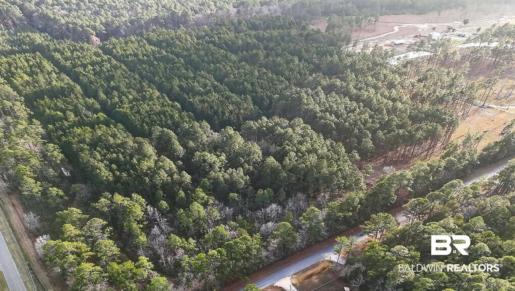 32.9 Acres of Recreational Land for Sale in Coden, Alabama