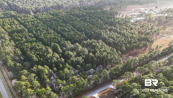 32.9 Acres of Recreational Land for Sale in Coden, Alabama
