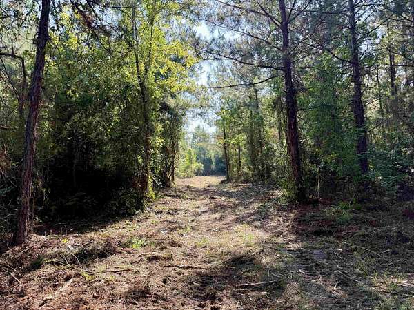 101 Acres of Recreational & Residential Land for Sale in New Zion, South Carolina