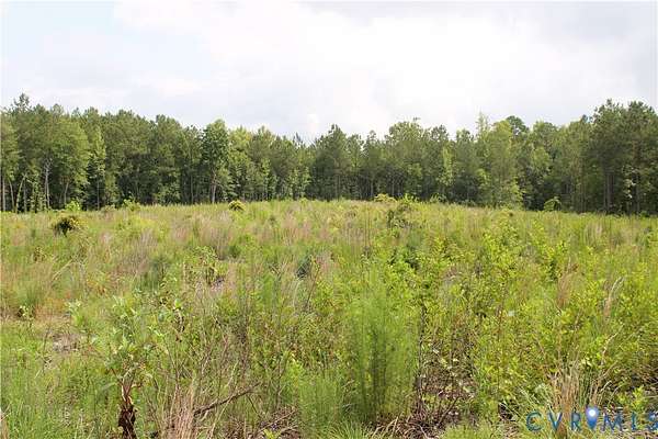10.4 Acres of Land for Sale in Stony Creek, Virginia