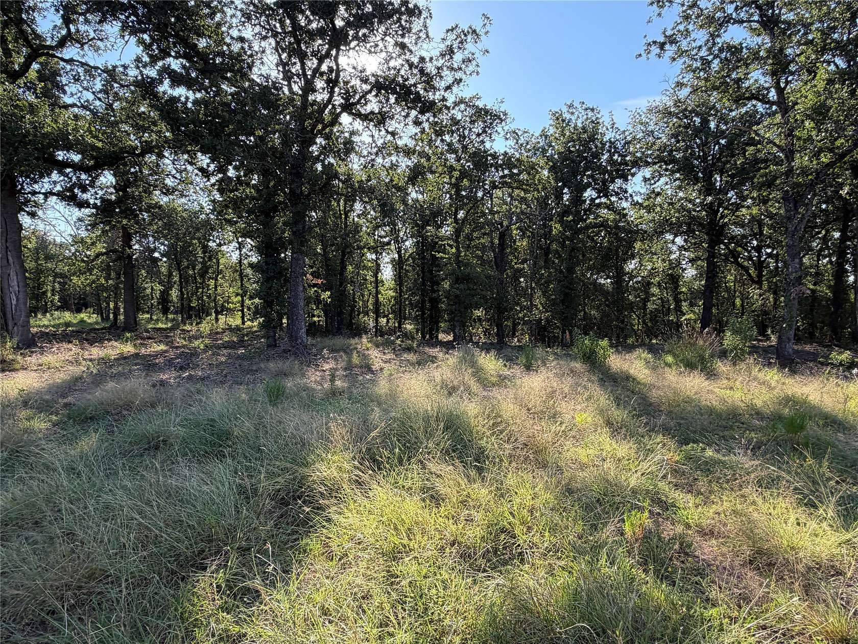 10 Acres of Land for Sale in Morgan, Texas