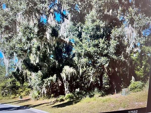 0.27 Acres of Residential Land for Sale in Waverly, Georgia