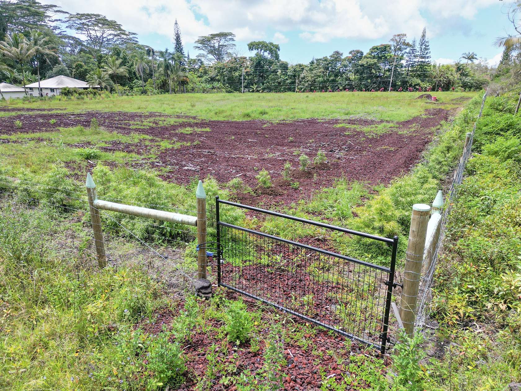 1 Acre of Residential Land for Sale in Pahoa, Hawaii