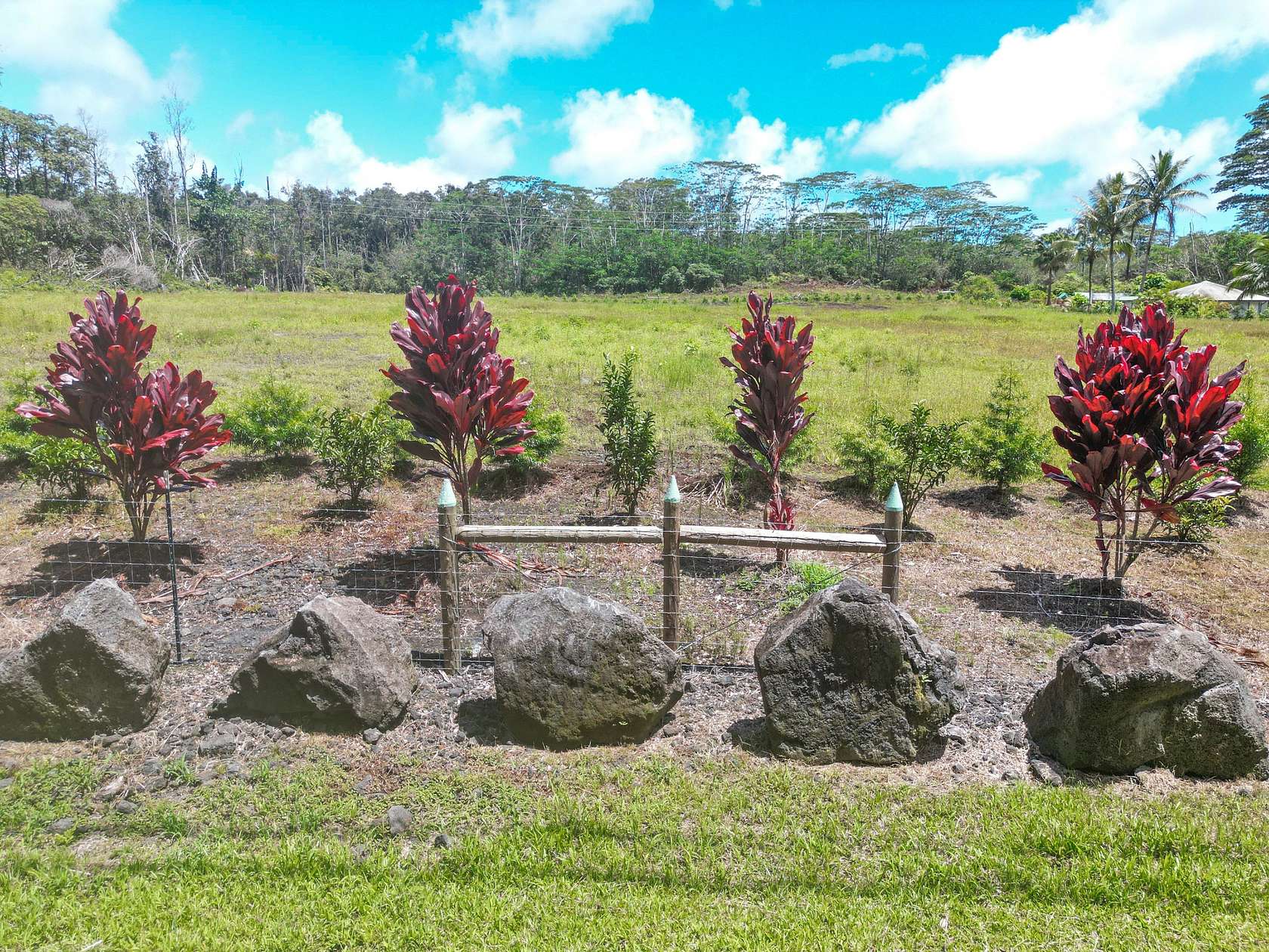 1 Acre of Residential Land for Sale in Pahoa, Hawaii
