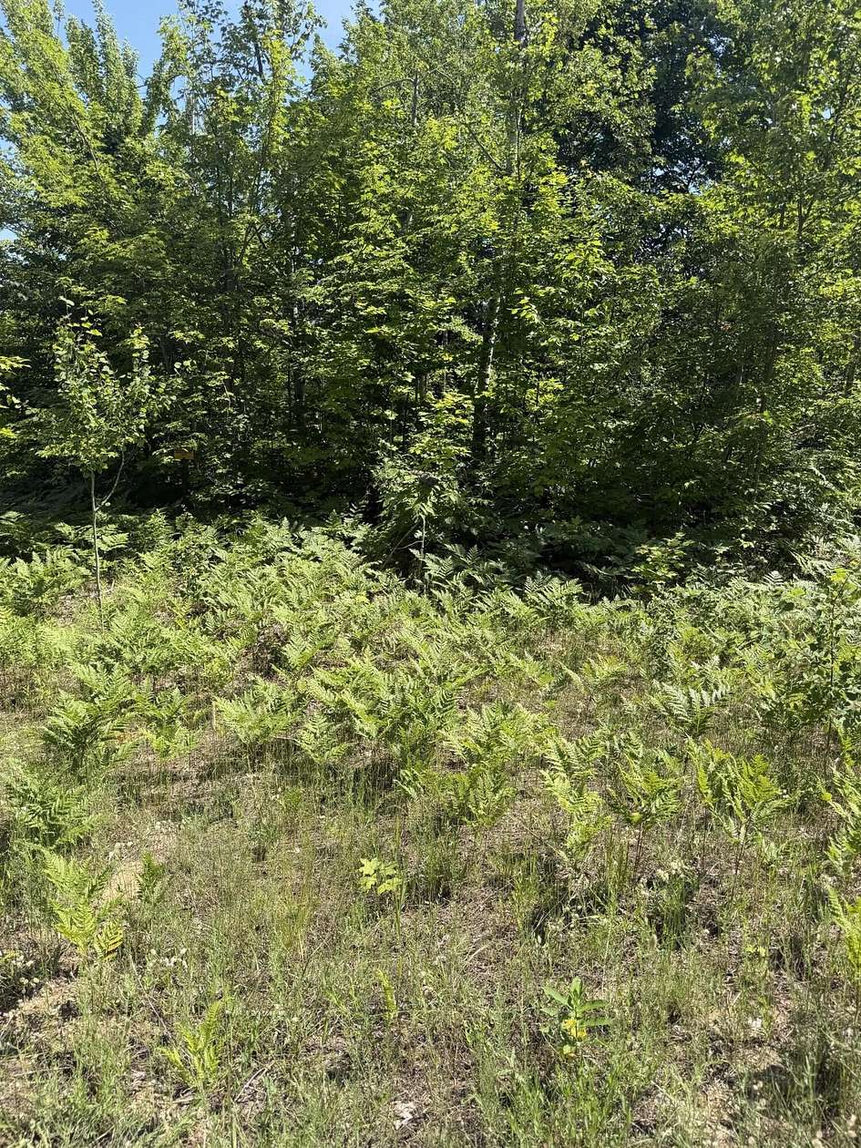 0.47 Acres of Residential Land for Sale in Mancelona, Michigan