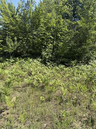 0.47 Acres of Residential Land for Sale in Mancelona, Michigan