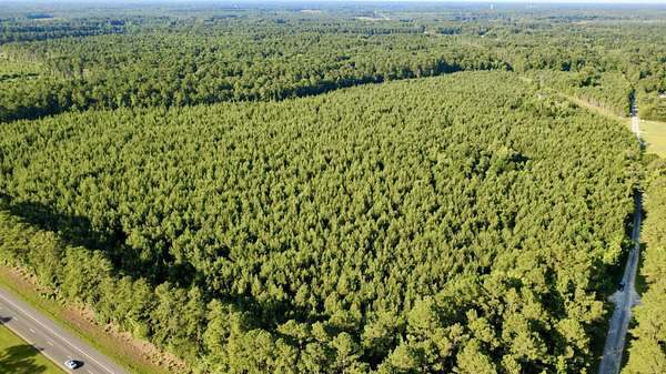 53 Acres of Recreational & Residential Land for Sale in Bowman, South Carolina
