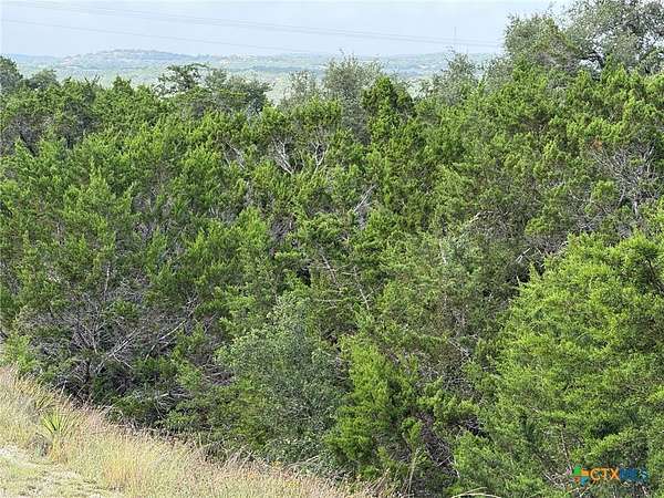 1 Acre of Residential Land for Sale in Spring Branch, Texas