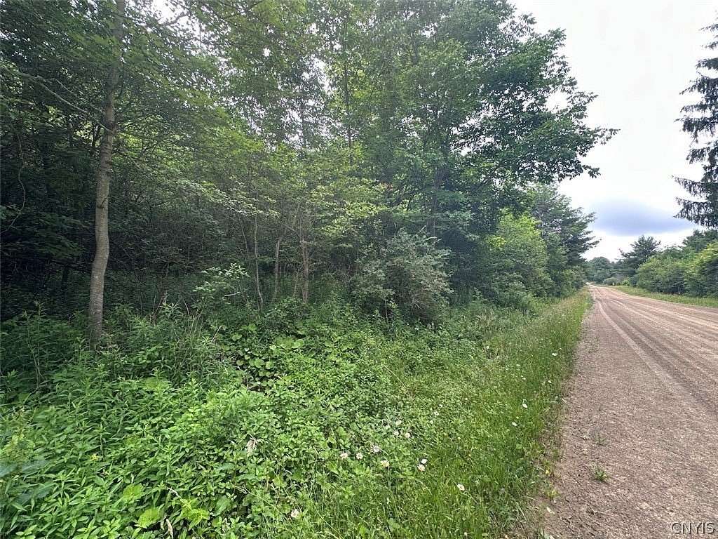 5.4 Acres of Land for Sale in Hunt, New York