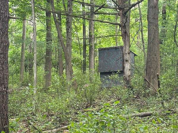 5.4 Acres of Land for Sale in Hunt, New York