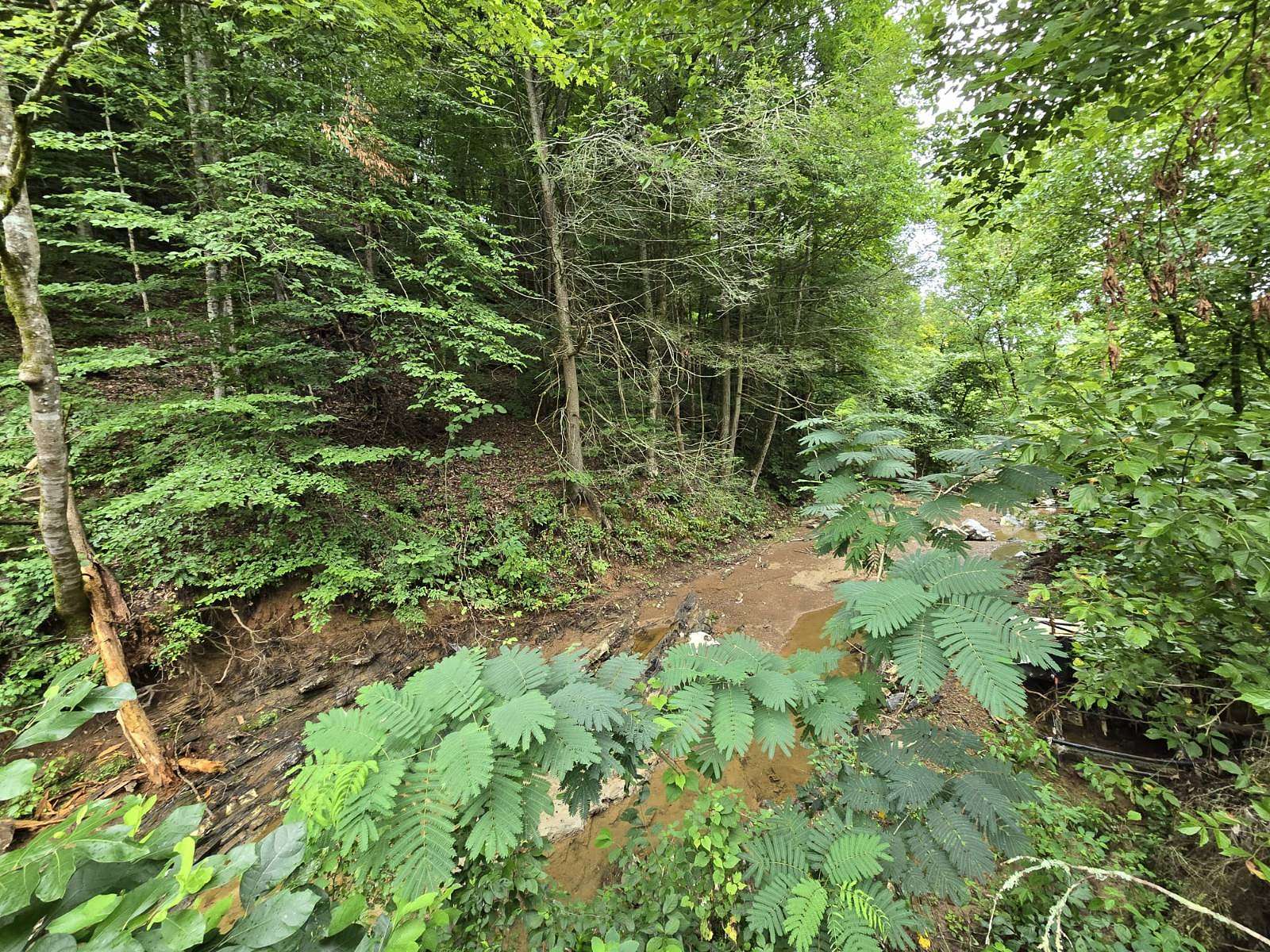 5.82 Acres of Residential Land for Sale in Parrottsville, Tennessee