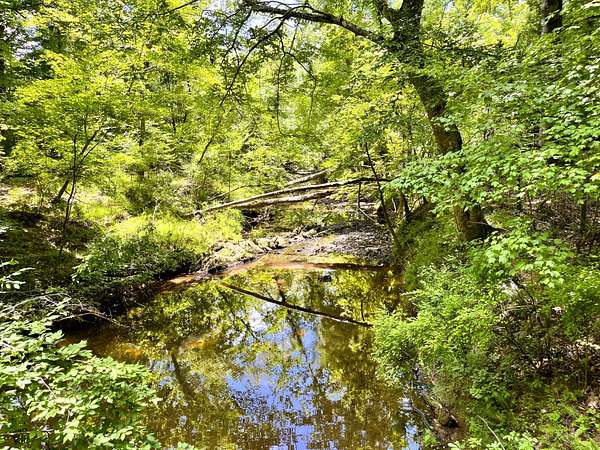 67.6 Acres of Land for Sale in Edgefield, South Carolina