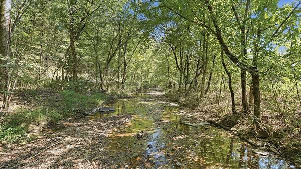 5.75 Acres of Residential Land for Sale in Beechgrove, Tennessee