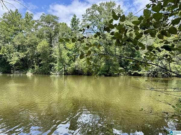 16 Acres of Recreational & Residential Land for Sale in Wedowee, Alabama