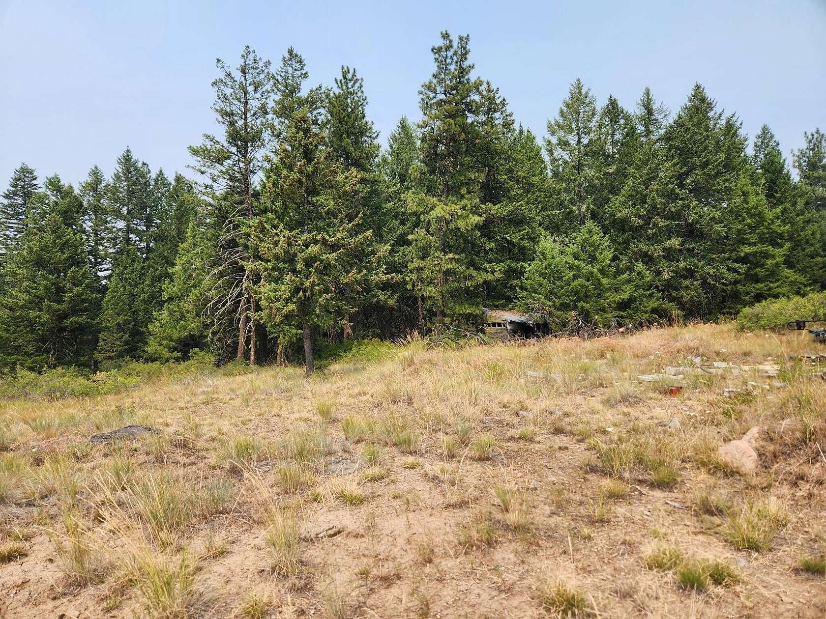 51.7 Acres of Recreational & Residential Land for Sale in Republic, Washington