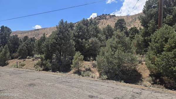 2.58 Acres of Residential Land for Sale in Gardnerville, Nevada