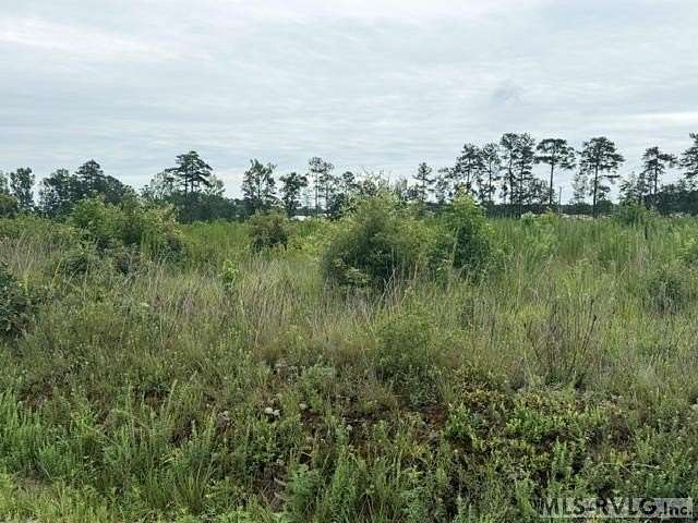 20.6 Acres of Agricultural & Residential Land for Sale in Stony Creek, Virginia