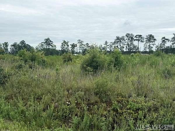20.6 Acres of Agricultural & Residential Land for Sale in Stony Creek, Virginia