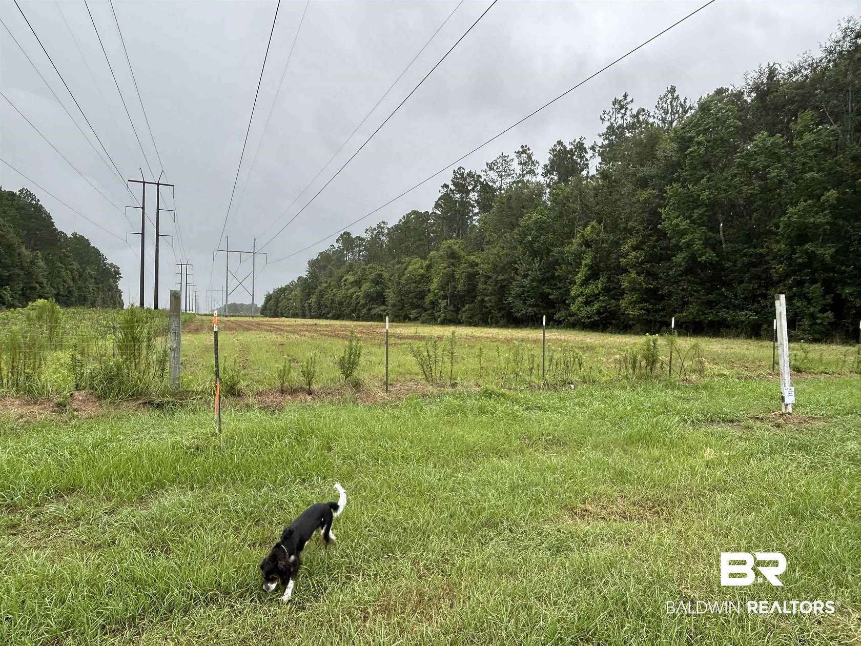 3.42 Acres of Residential Land for Sale in Robertsdale, Alabama