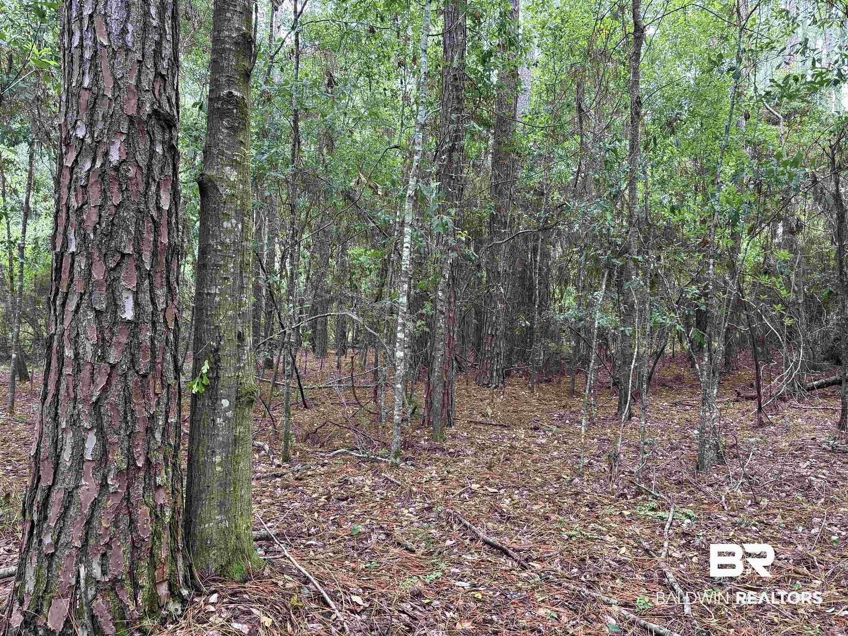 3.39 Acres of Residential Land for Sale in Robertsdale, Alabama