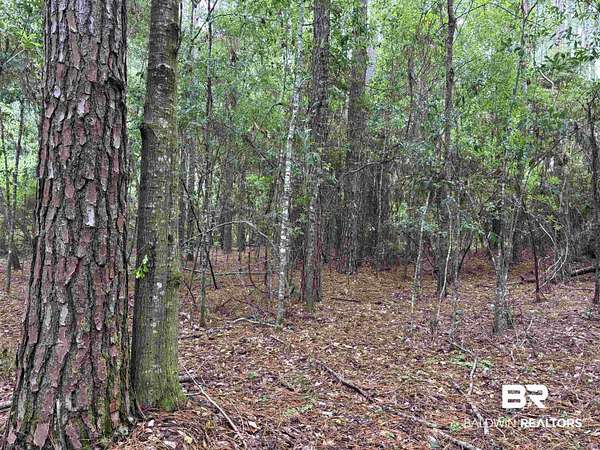 3.39 Acres of Residential Land for Sale in Robertsdale, Alabama