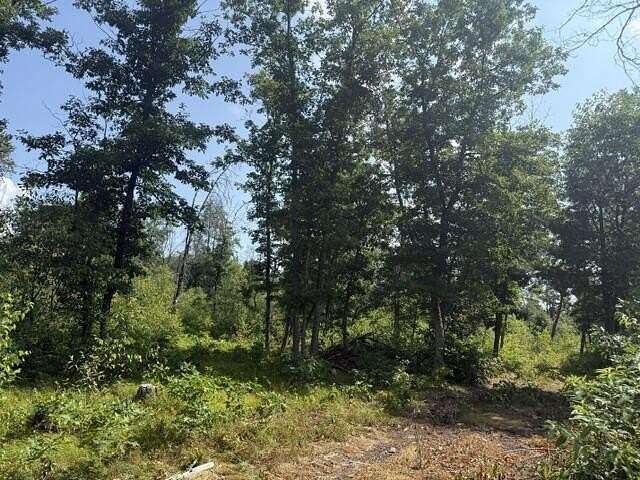 10 Acres of Recreational Land for Sale in Baldwin, Michigan