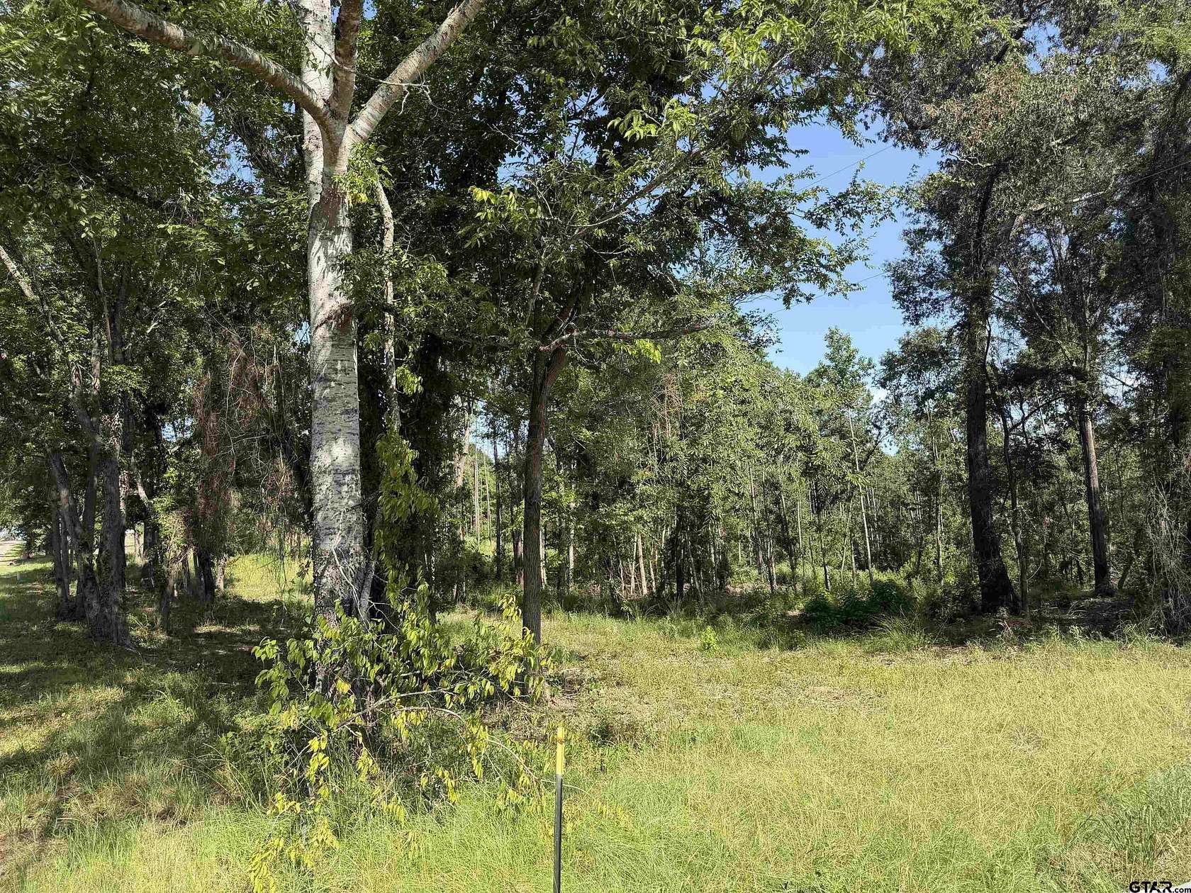 15.3 Acres of Recreational Land for Sale in Jacksonville, Texas